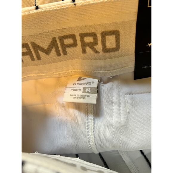 NWT Champro White with Blue Stripes Baseball Pant Youth Size Medium - Picture 5 of 6